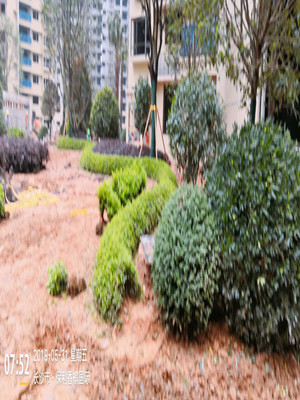 園林施工現場10